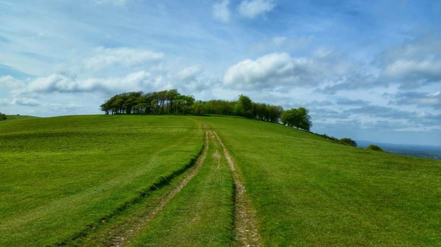 Chanctonbury Ring 2 - malcolm Oakley